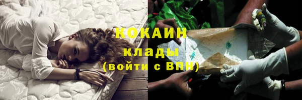 дживик Липки