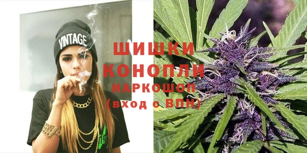 дживик Липки