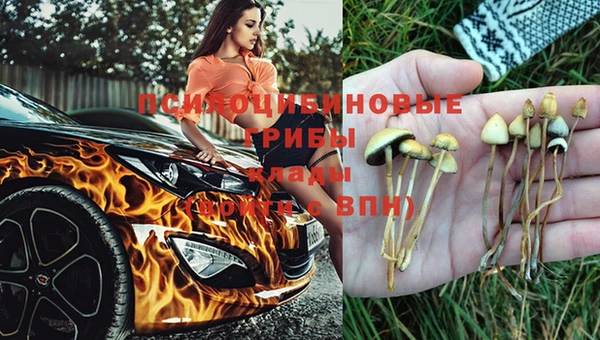 винт Лихославль