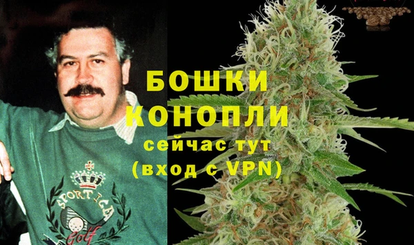 дживик Липки