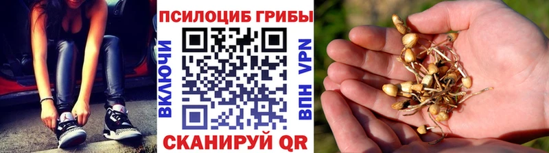 купить   Горячеводский  Галлюциногенные грибы MAGIC MUSHROOMS 